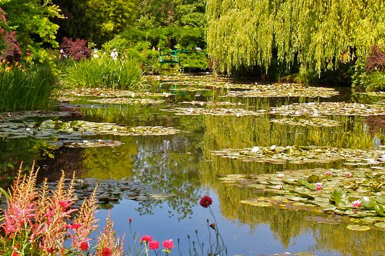 Le jardin d'eau en été