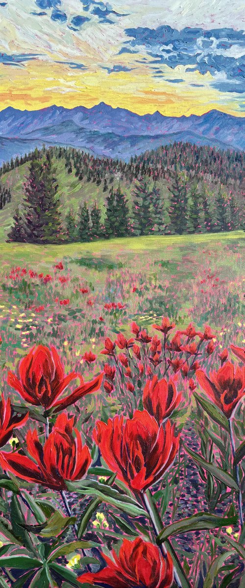 Scarlet Indian Paintbrush at Sunset by Zulfiya Mukhamadeyeva