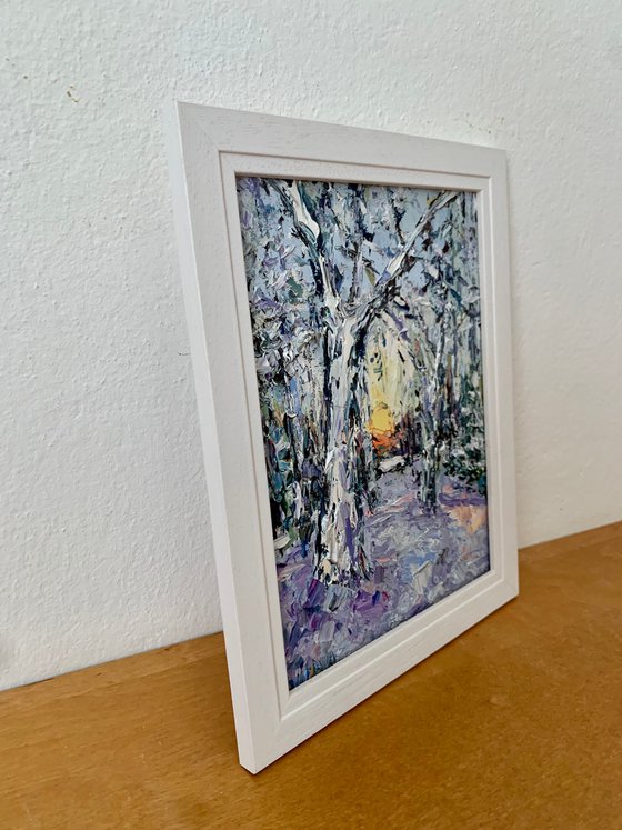 Sunset in winter forest