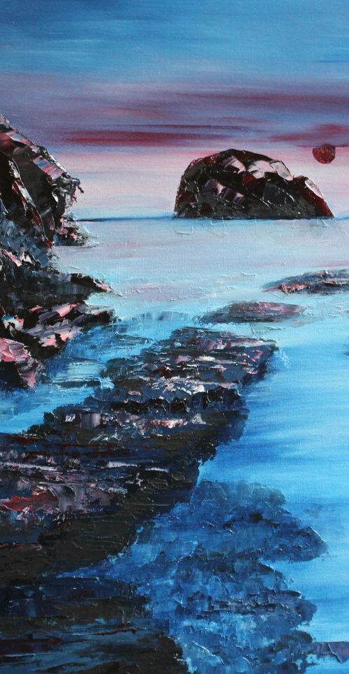 GULL ROCK CORNWALL by Galina Zimmatore