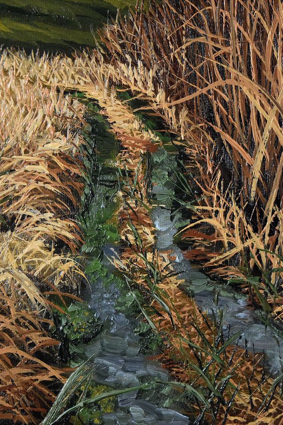 "Autumn walk "