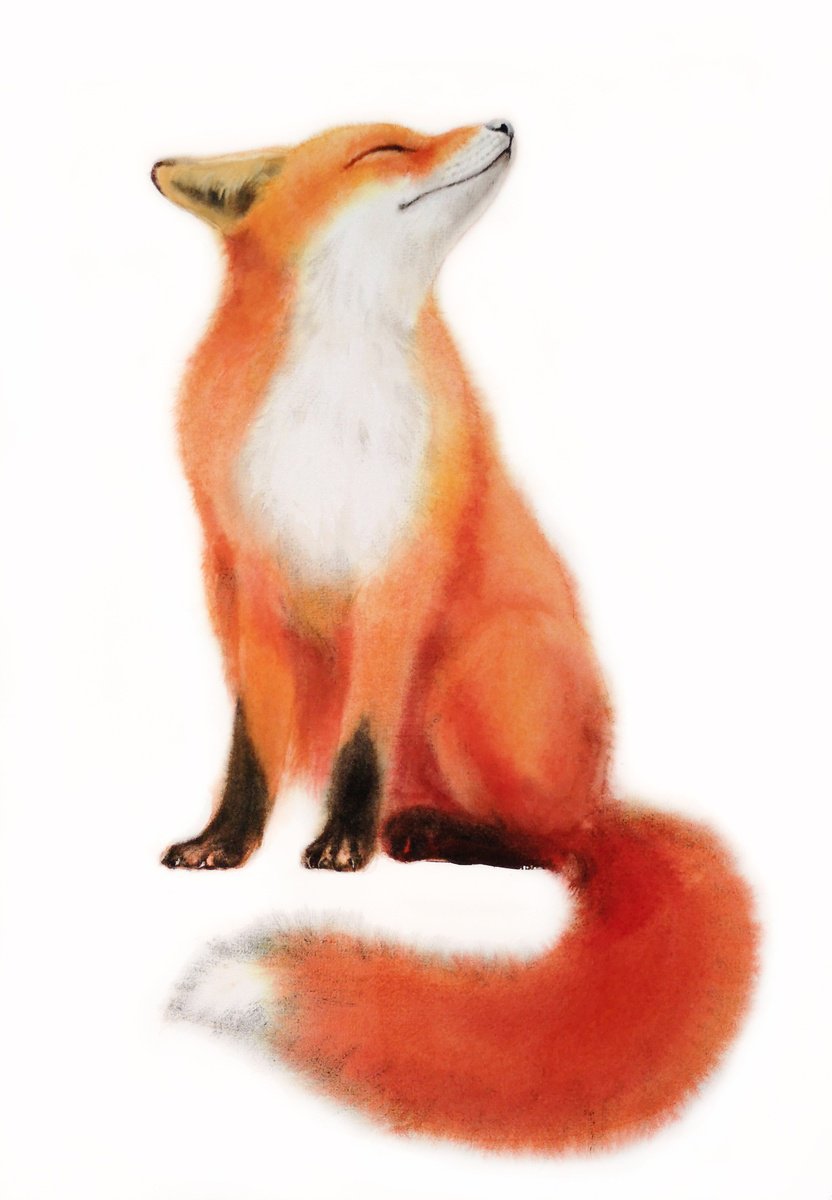 Red Fox - foxy - fox portrait - fox watercolor - fox looks upwards by Olga Beliaeva Watercolour