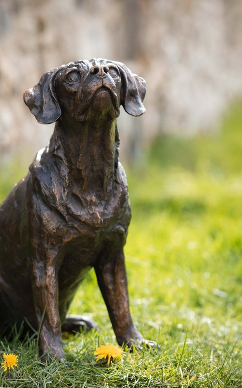 Sitting Puggle FB by Tanya Russell