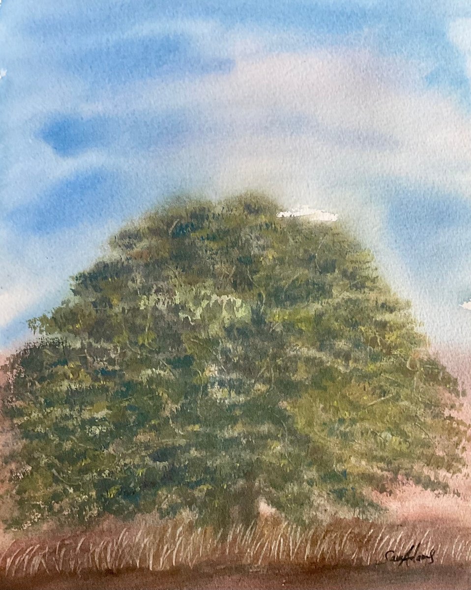 Impressionistic Landscape Watercolour By Samantha Adams, 11 X 15", Old Oak, Kings Stag, Dorset, Original Artwork