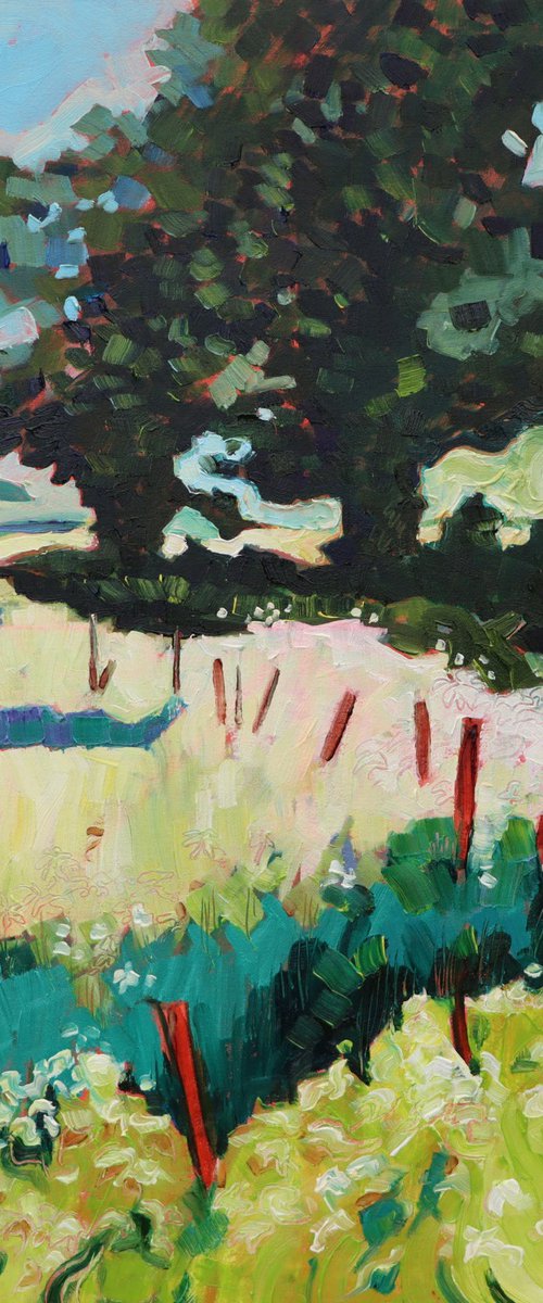 Summer Days by Mary Kemp