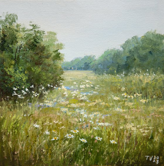 Summer Meadows. Oil painting. Original Art. Nature landscape. 8 x 8