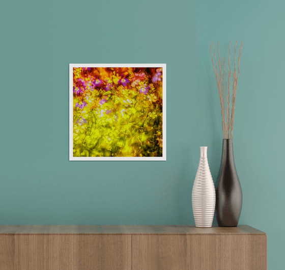 Summer Meadows #4. Limited Edition 1/25 12x12 inch Abstract Photographic Print.