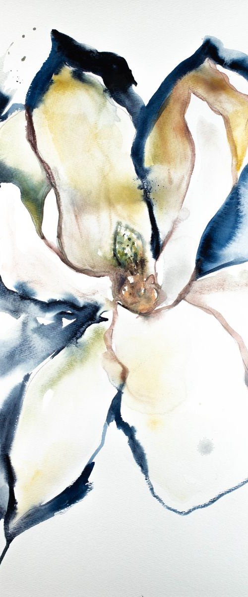 Magnolia No. 28 by Elizabeth Becker