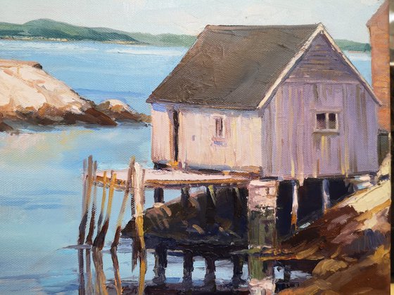 Sun  on the cove (20x24x0.7")