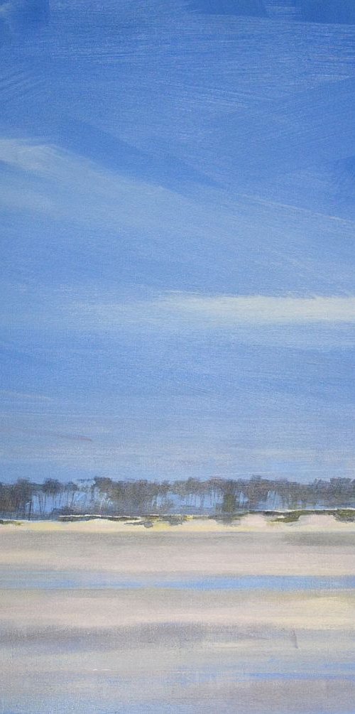 Holkham trees no 3. by Tom Cringle