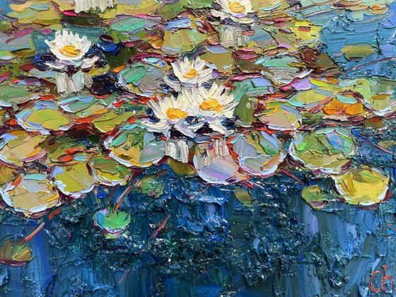 "Water lilies"