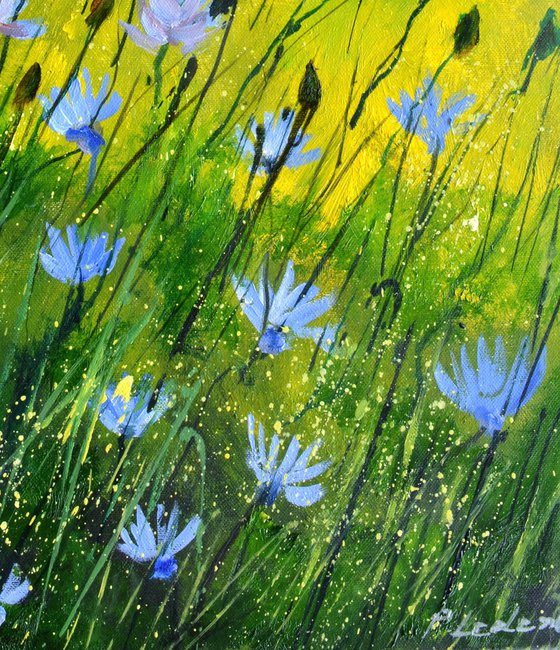 Wild chicory flowers