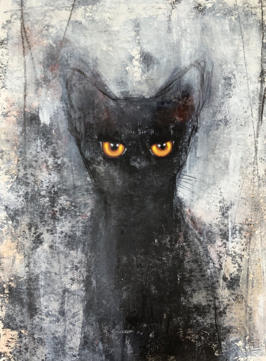 BLACK CAT by Eva Fialka