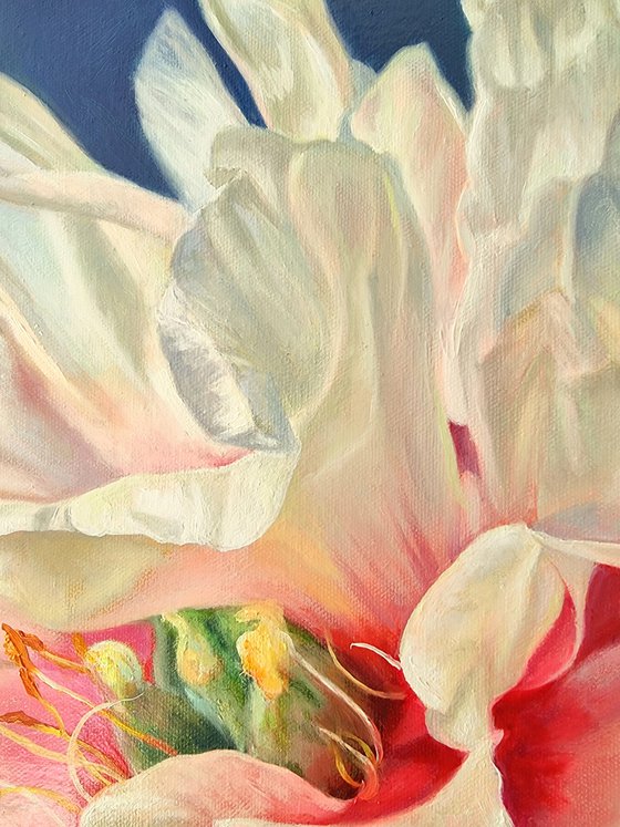 "Pearl. " peony  flower 2022