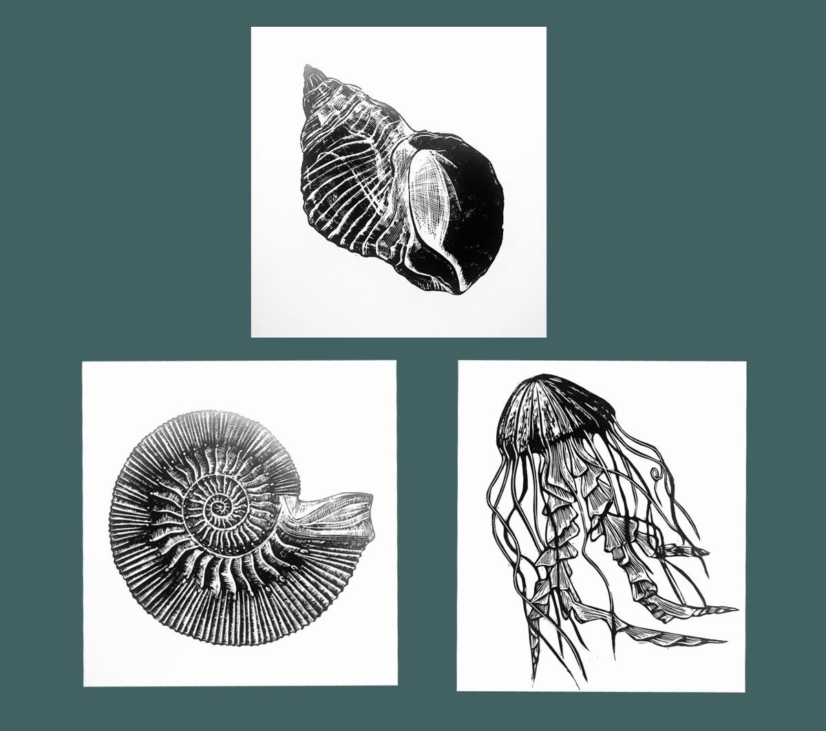 Linocut , Sea Life Triptych Ii By Amy Cundall, 12 X 12, Artwork For Sale On Artfinder