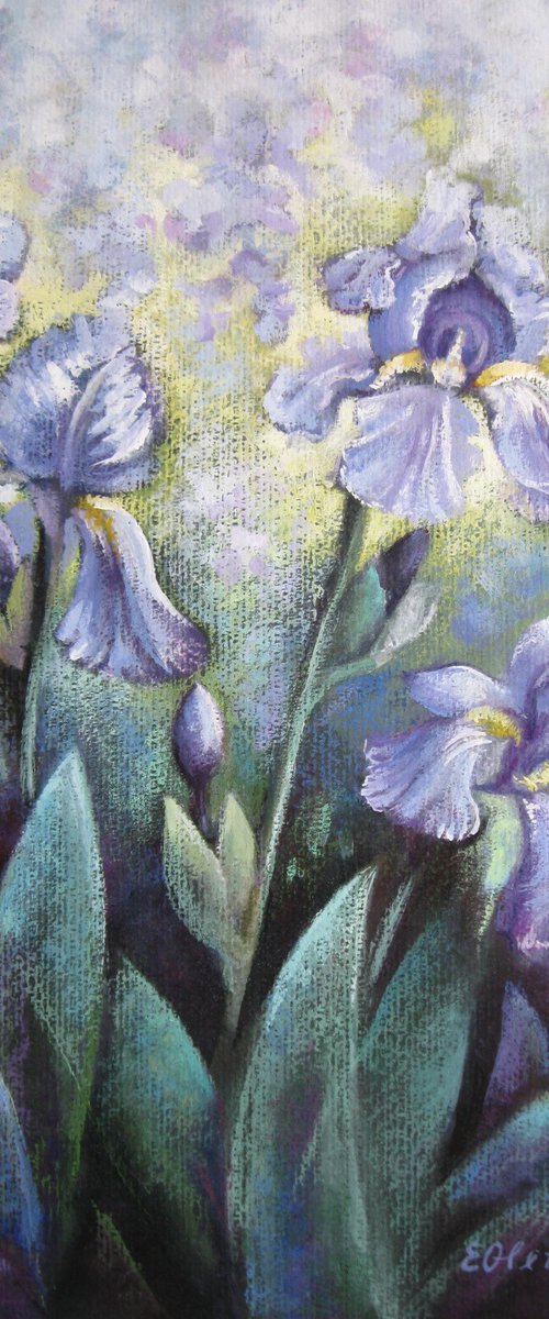 Irises in the garden by Elena Oleniuc