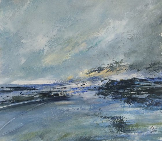 Coastal Anglesey Study