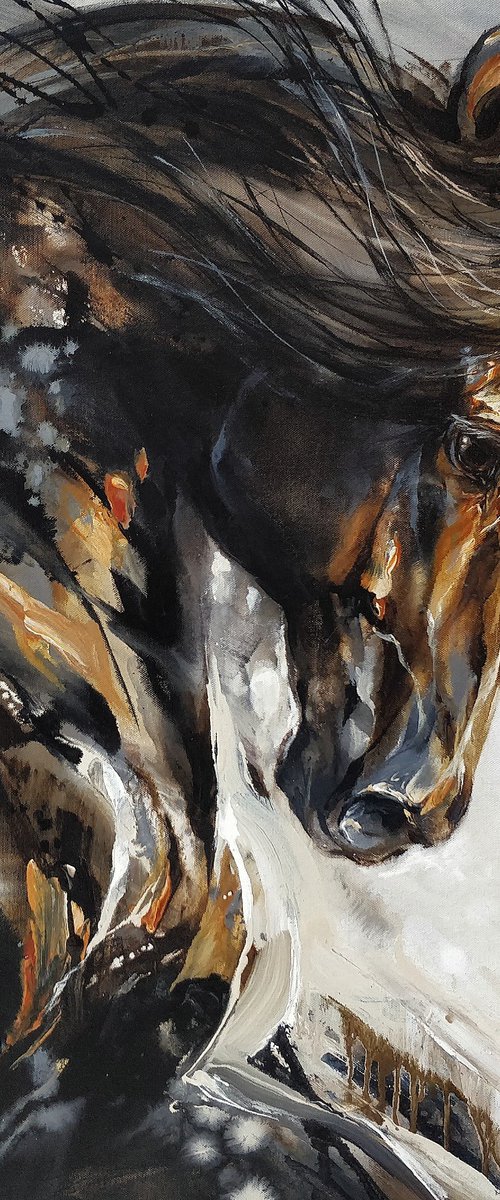 BLACK HORSE by Anna Cher