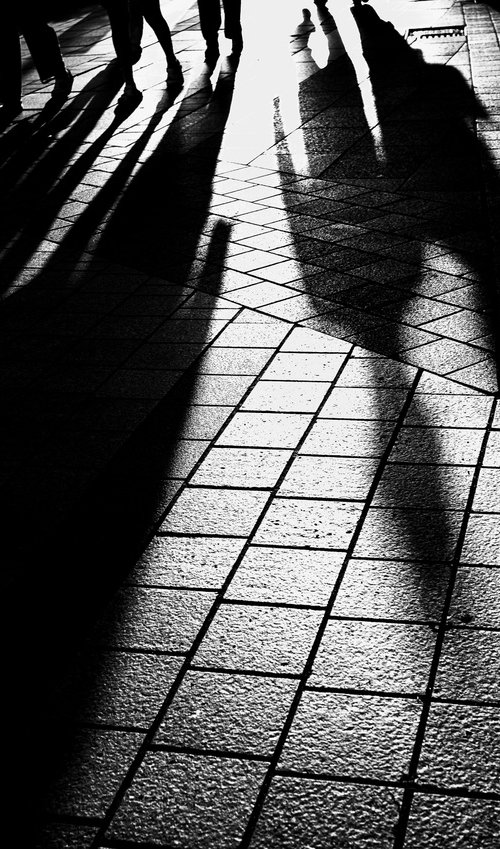 Crossing Shadows by Taeyoung Kang