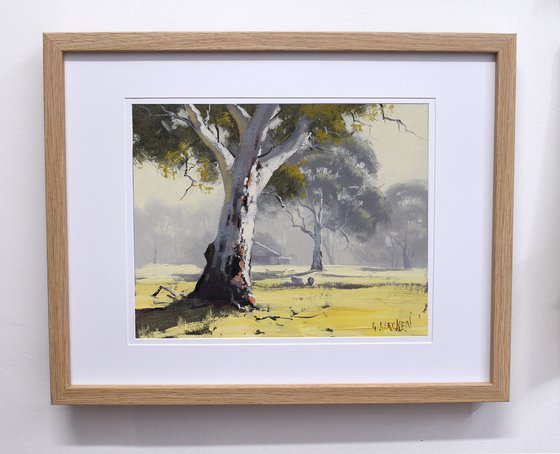 Australian Eucalyptus tree &amp; Farm shed