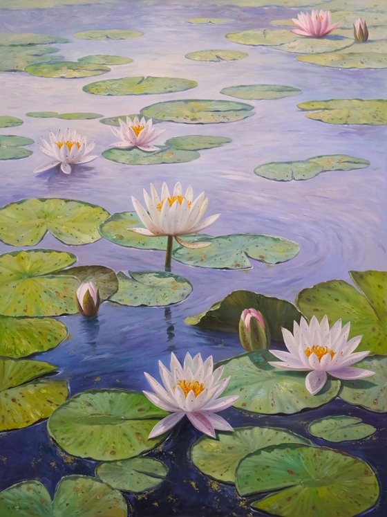 Water Lilies