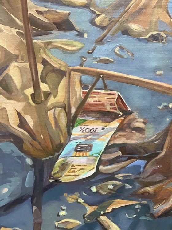 Pond. The Confluence of Realities