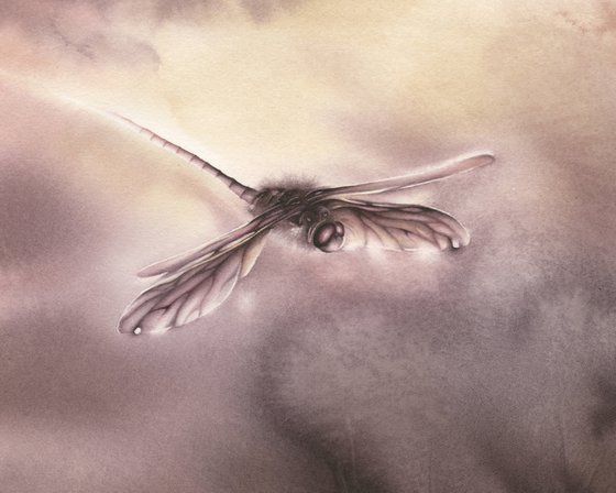 Glimpse VIII - Sunset Dragonfly Watercolor Painting