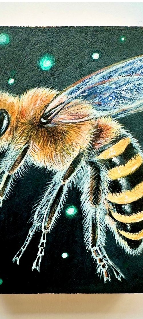 Solitary Ivy Bee by Louise McNaught