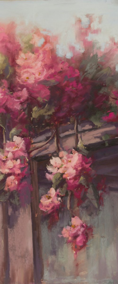 Magenta bougainvillea flowers by Anna Bogushevskaya