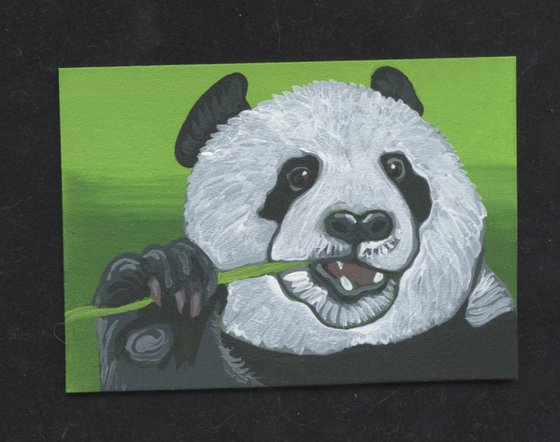 ACEO ATC Original Miniature Painting Panda Bear Wildlife Art-Carla Smale