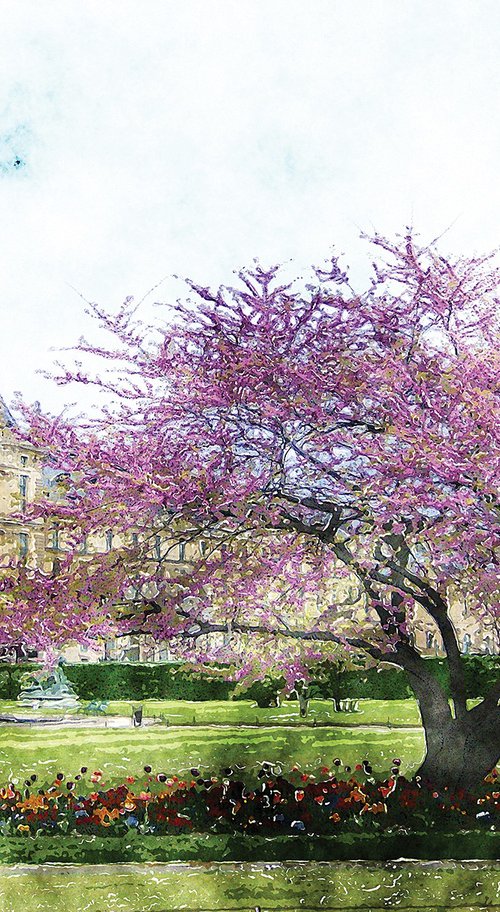 Árbol rosa by Javier Diaz