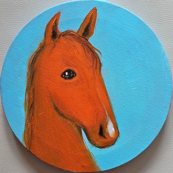 My little orange chestnut horse on blue