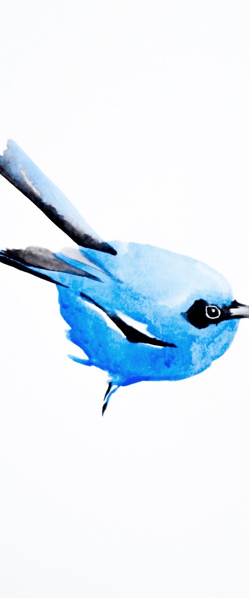 Bird by Nadia Moniatis