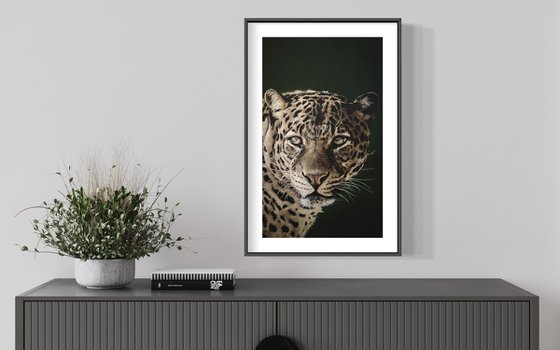 Dark Leopard