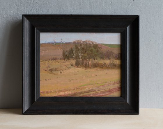 Spring Fields