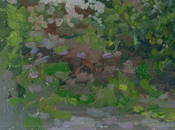 Bush