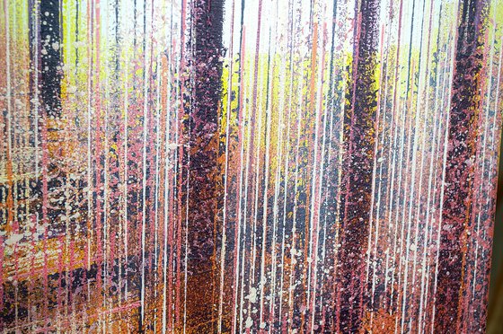 Forest At Sunset