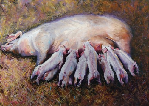 Pig with Piglets by Marion Derrett
