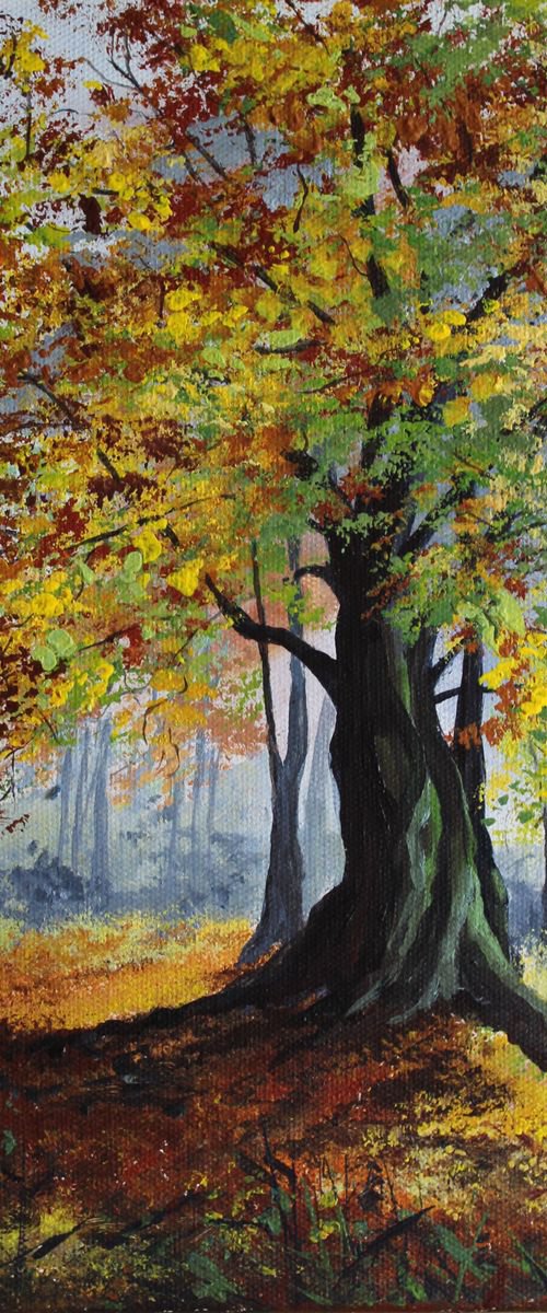 Autumn Splendour by Valerie Jobes