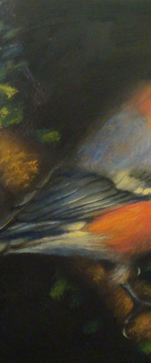 Bullfinch (SOLD) by Michael Mullen
