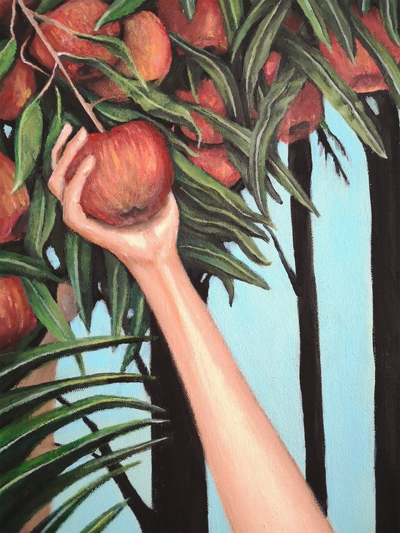 A Day in Paradise: Apples or Oranges