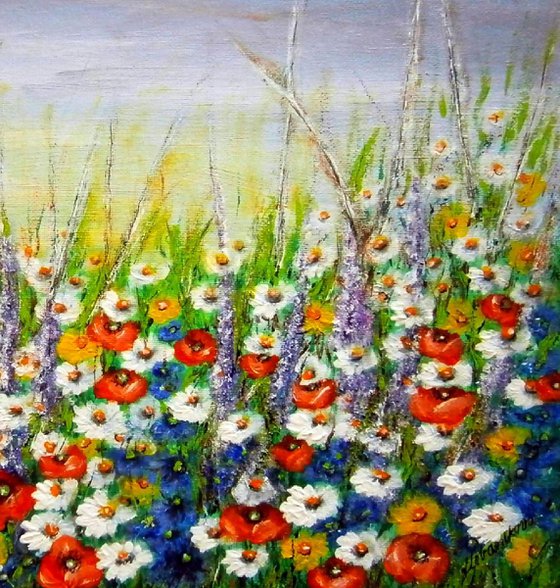 Meadow flowers 7