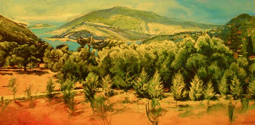 Summer Turkish landscape by Patricia Clements