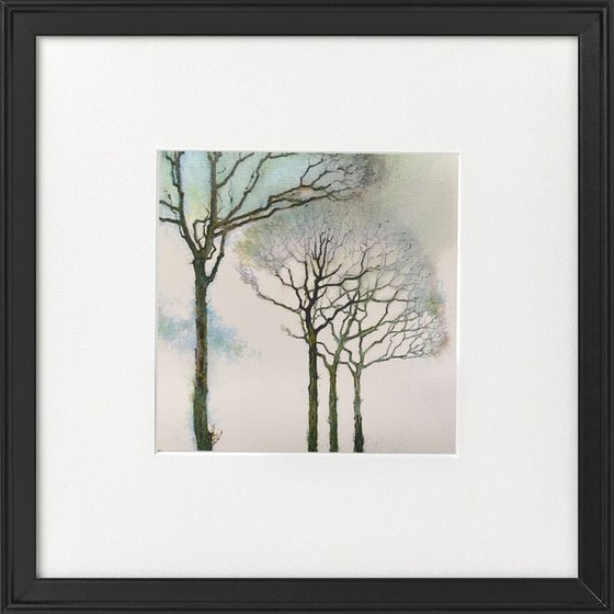 Monochrome - Winter trees