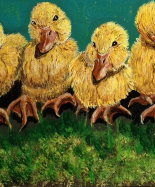 Ducks in a Row by Donna Daniels