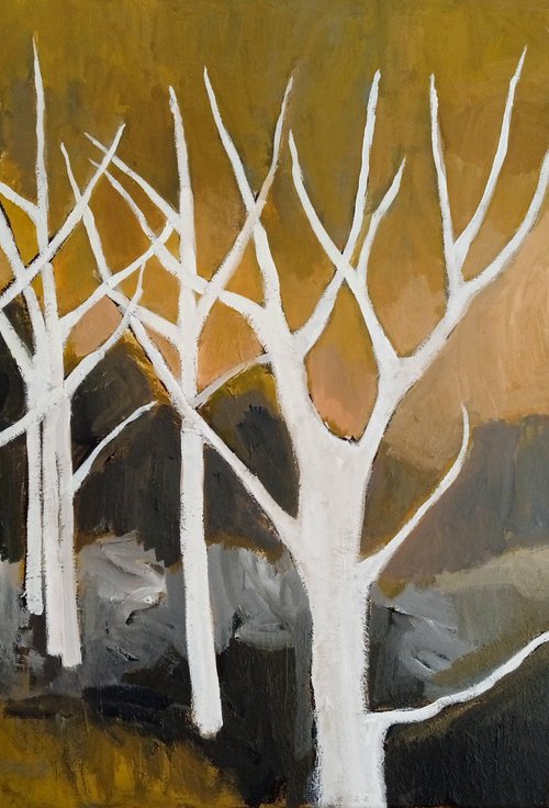 White Birch by Fiona Philipps