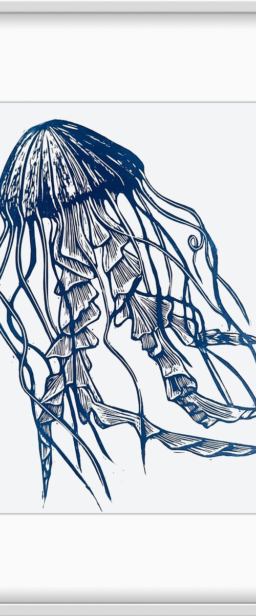 Jellyfish by Amy Cundall