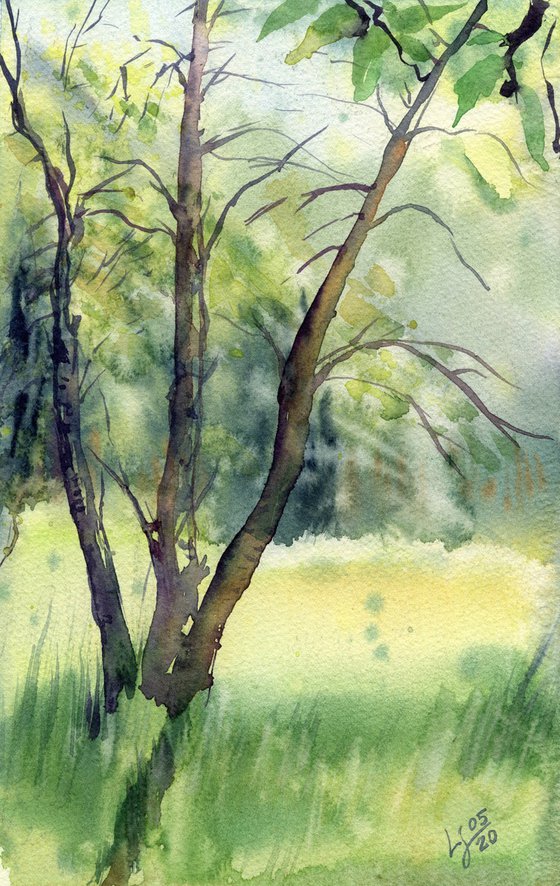 Trees in the garden, watercolor sketch