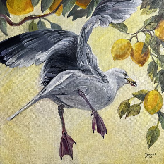 Seagull of Italy