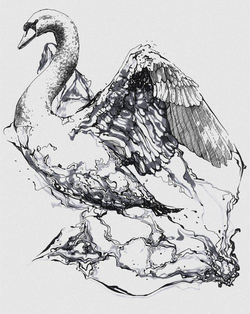 Swan v.01 by Mikolaj Cielniak